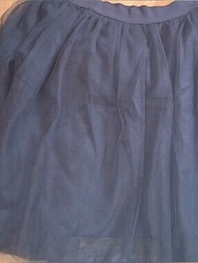 Lauren Conrad Skirt